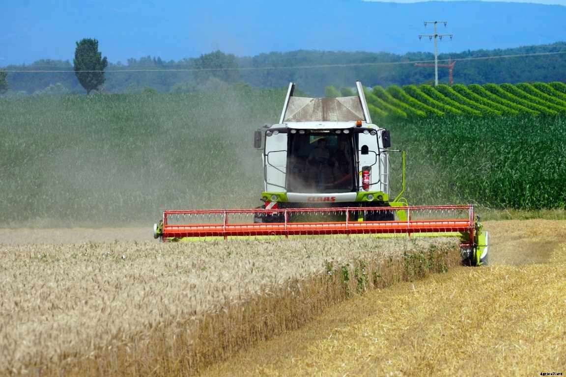 Small Scale Farming Ideas, Tips, and Techniques