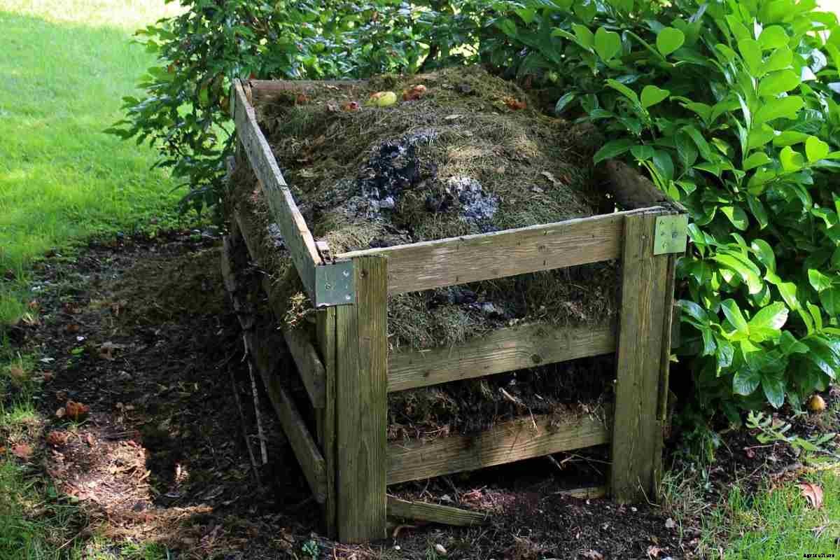 How To Make Compost At Home, Step by Step Guide