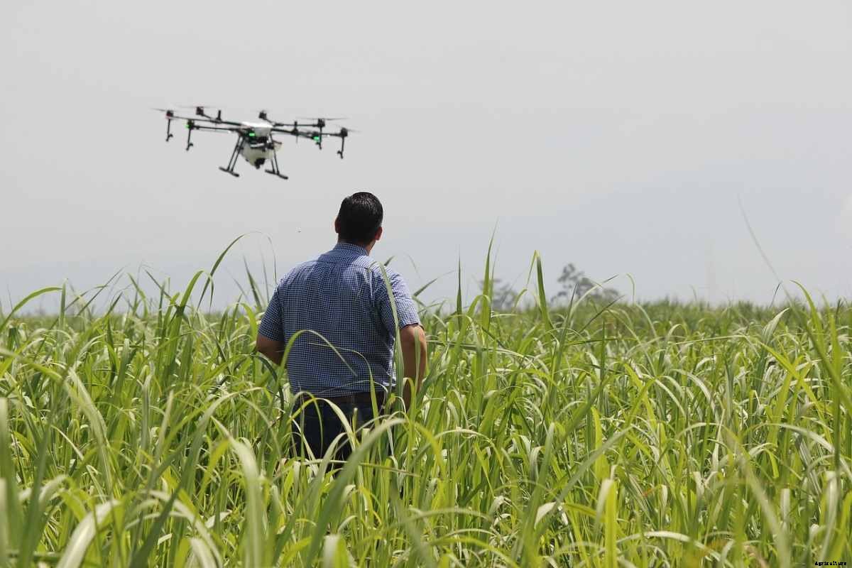 Crop Monitoring Technology – IoT, Remote Sensing