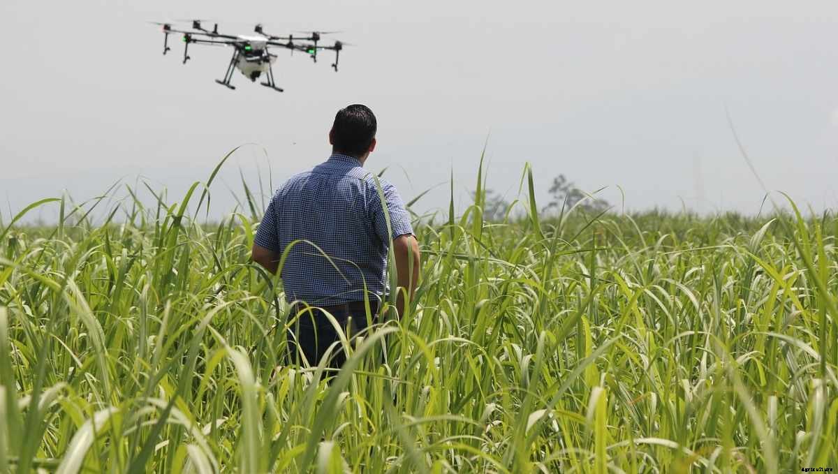 Agriculture Tips For Farmers – Farming Tips