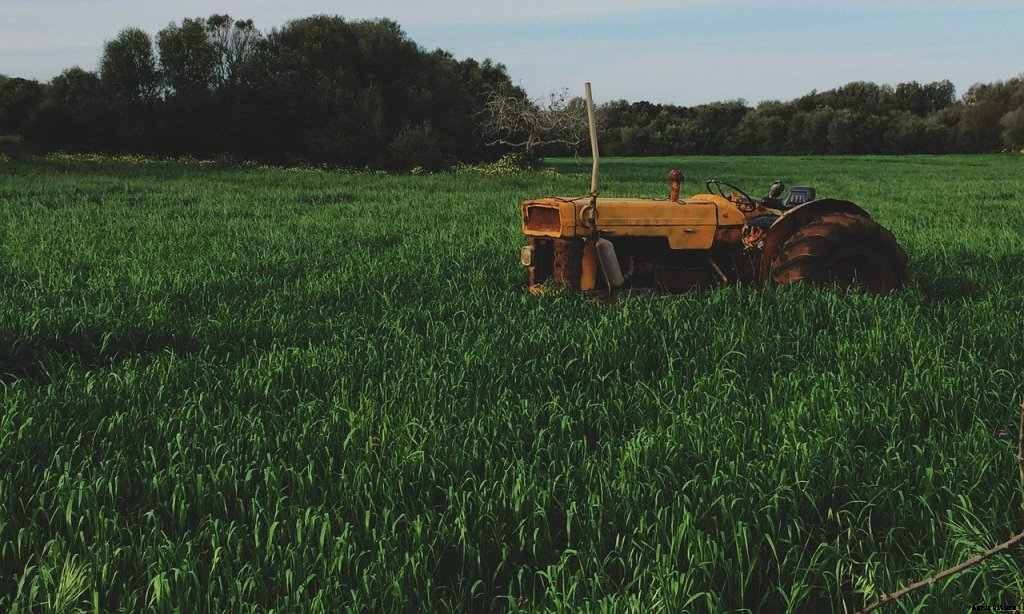 Agriculture Tips For Farmers – Farming Tips