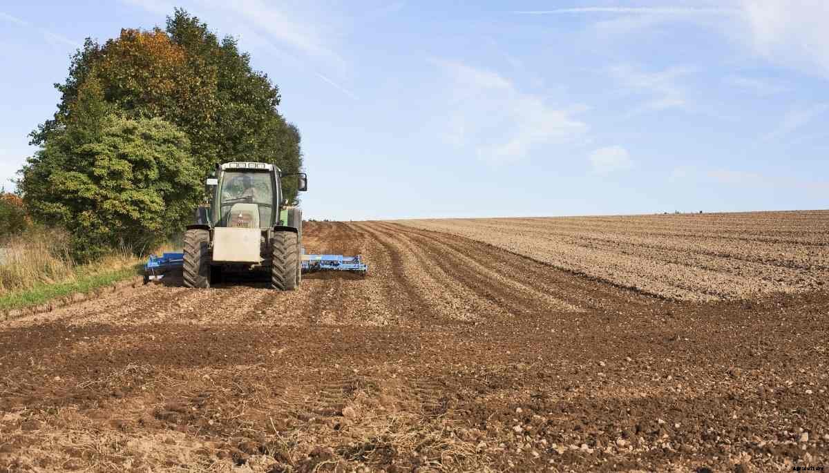 Arable Farming, Crops, Technology, Advantages