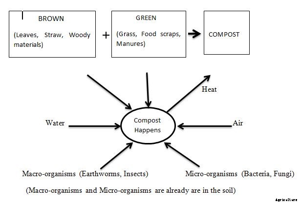 Composting Business In India – Plan, How To Start