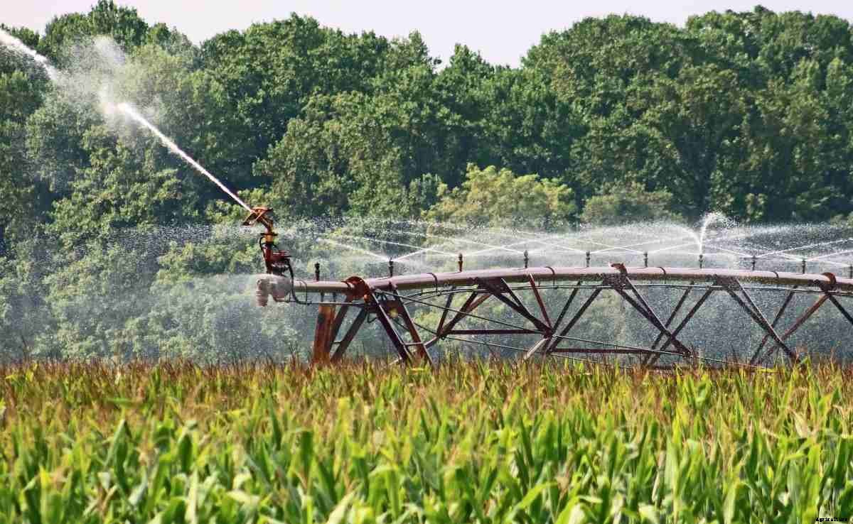 Types of Farming In India – A Full Guide