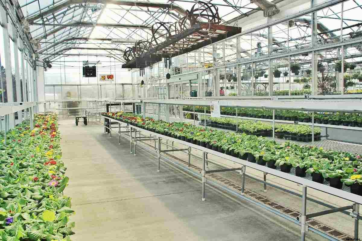 Greenhouse Flower Production In India