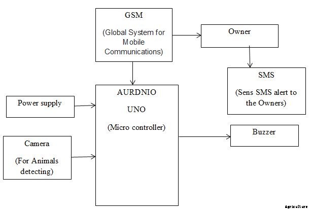 Protecting Crops From Animals And Birds – Ideas, Tips