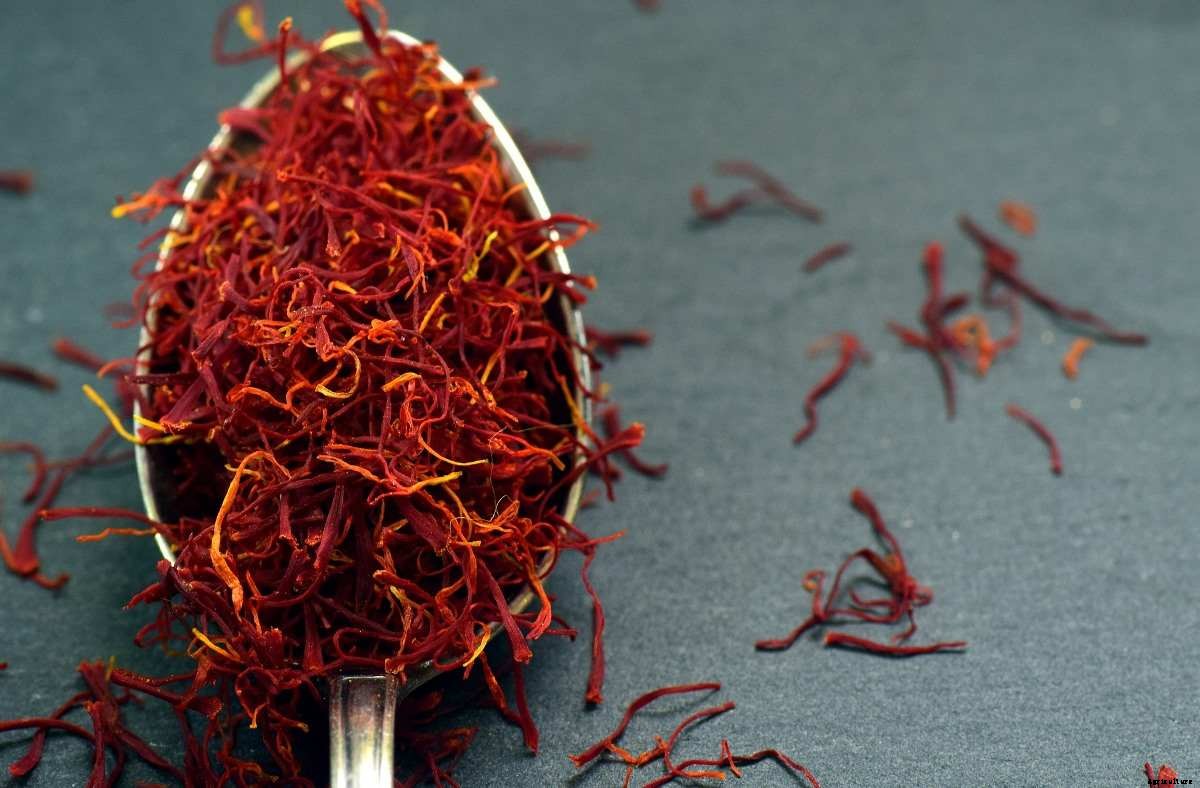 Organic Saffron Farming (Kesar), And Production Practices