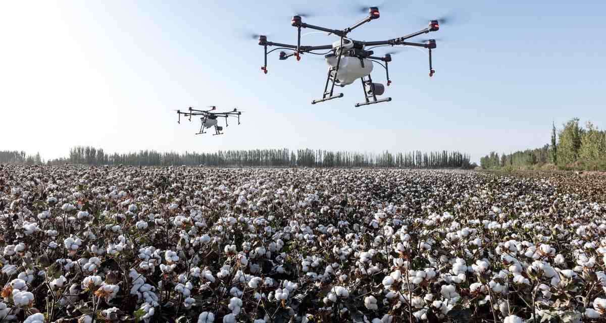 Agriculture Farming In Karnataka, Cultivation Of Crops