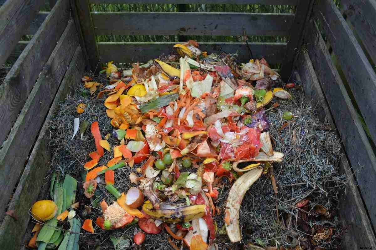 How To Make A Compost Pit, Benefits, Composting Process