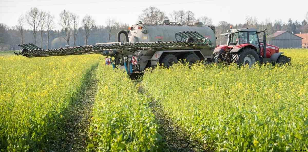 Crop Rotation in Organic Agriculture, Farming