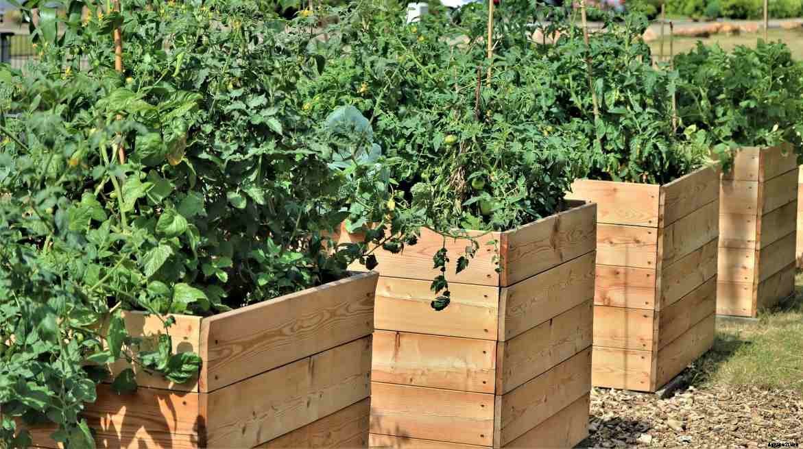 Commercial Raised Bed Farming – A Full Guide