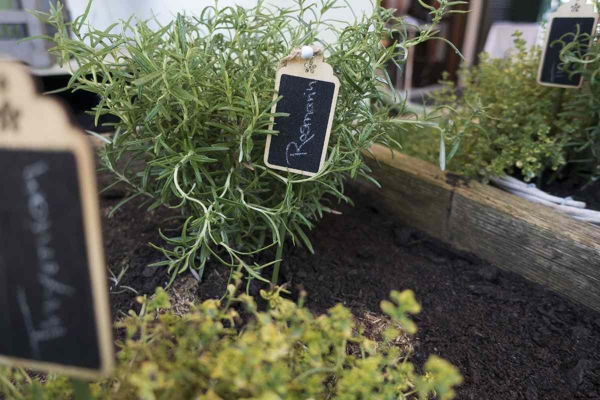 Commercial Raised Bed Farming – A Full Guide