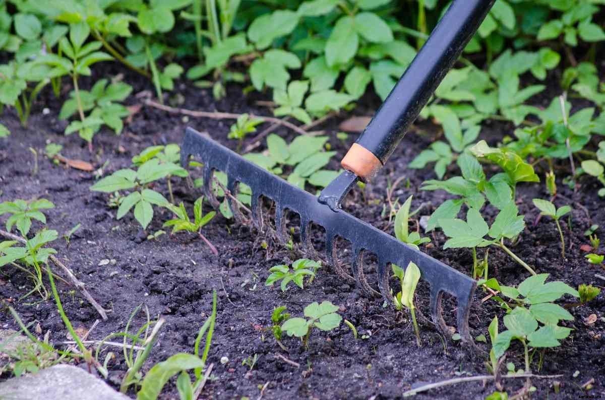 Types of Gardening Tools, and Their Uses