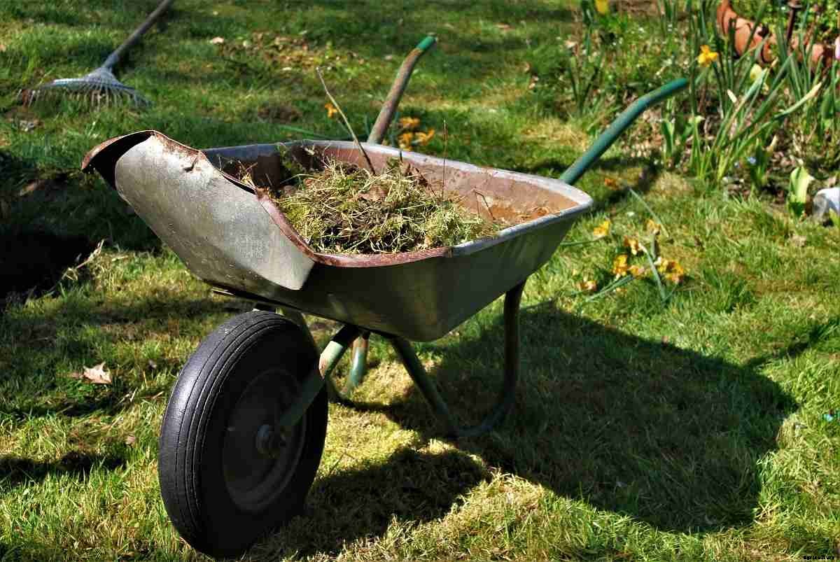 Types of Gardening Tools, and Their Uses