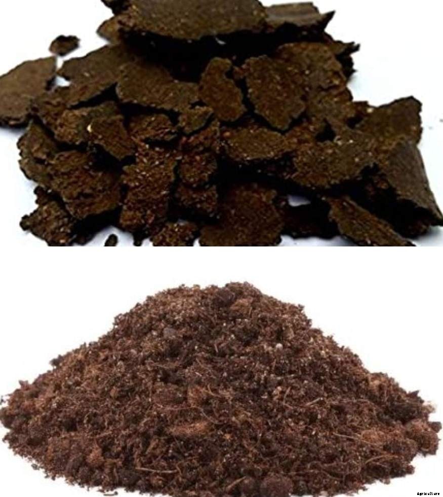 Neem Cake Fertilizer, Uses, Application, Benefits