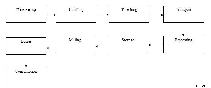 Post-Harvest Technology of Cereals, Pulses, and Oilseeds