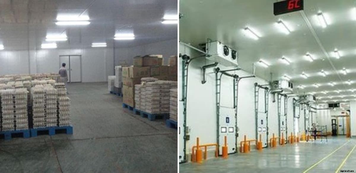 Cold Storage Subsidy, Loan, and Business Plan