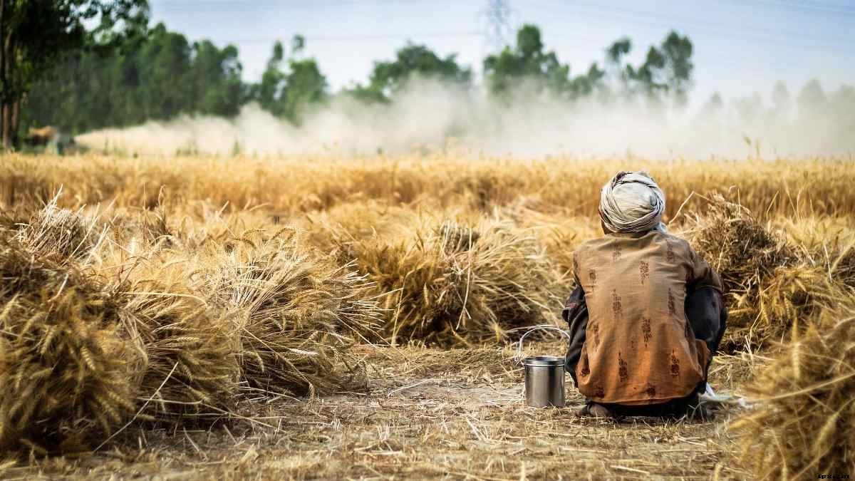 Problems Faced By Indian Farmers – a Full Guide