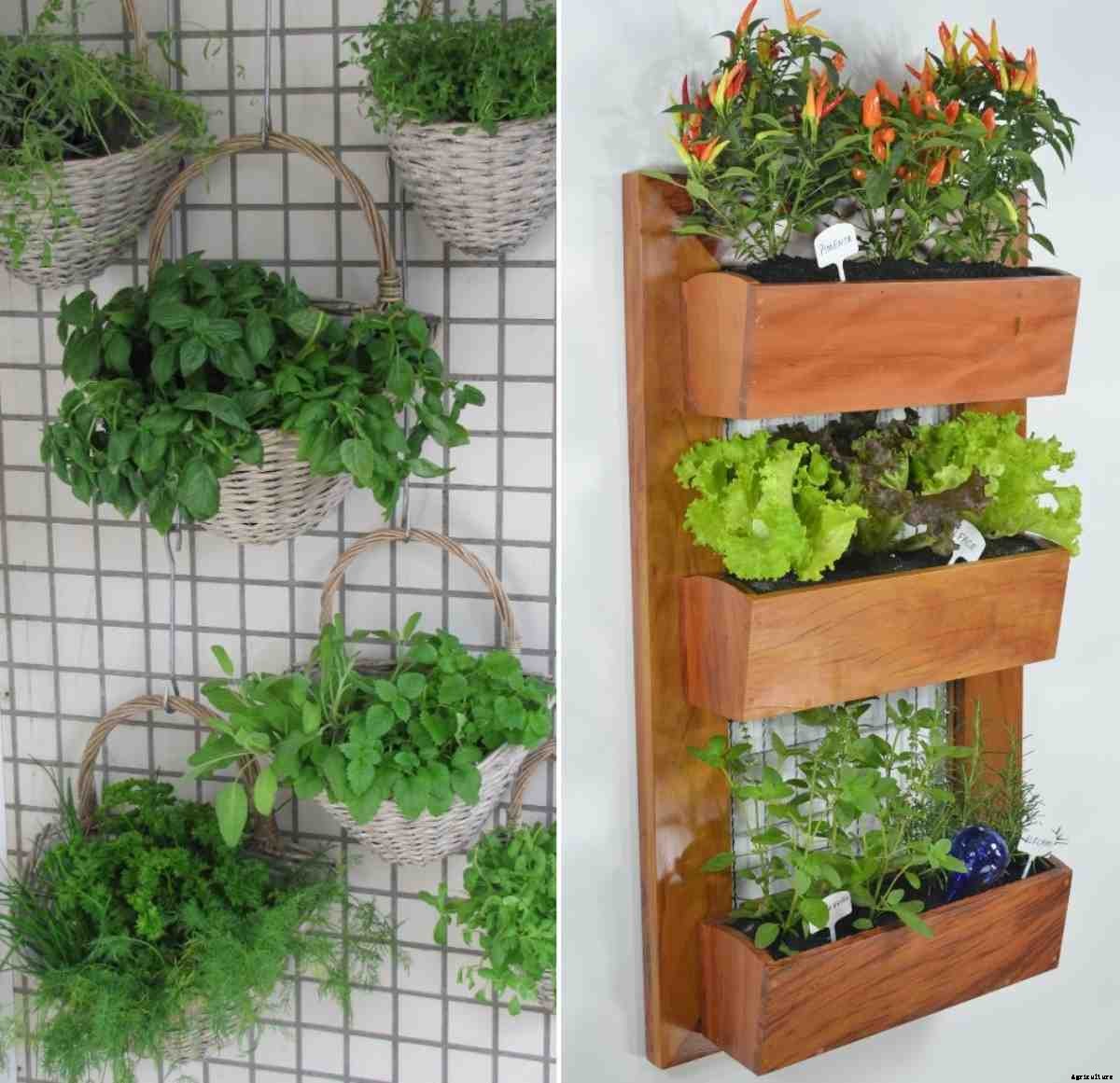 Vertical Herb Farming, Advantages, Ideas, and Tips