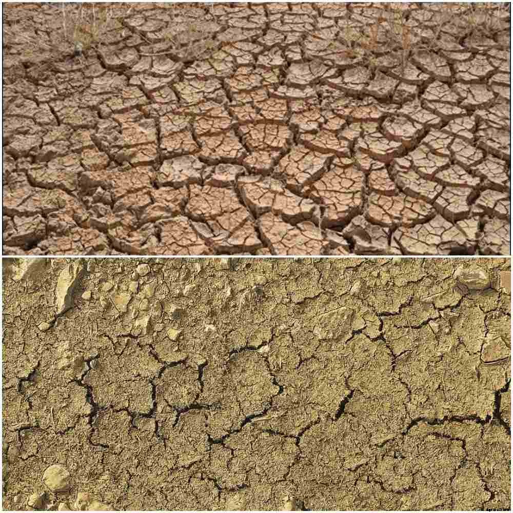 Soil Degradation Causes, Effects, Preventive Methods