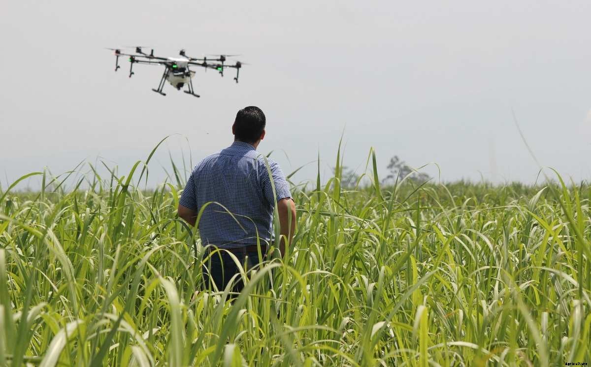 Future of IoT in Agriculture in India, IoT Challenges, Benefits