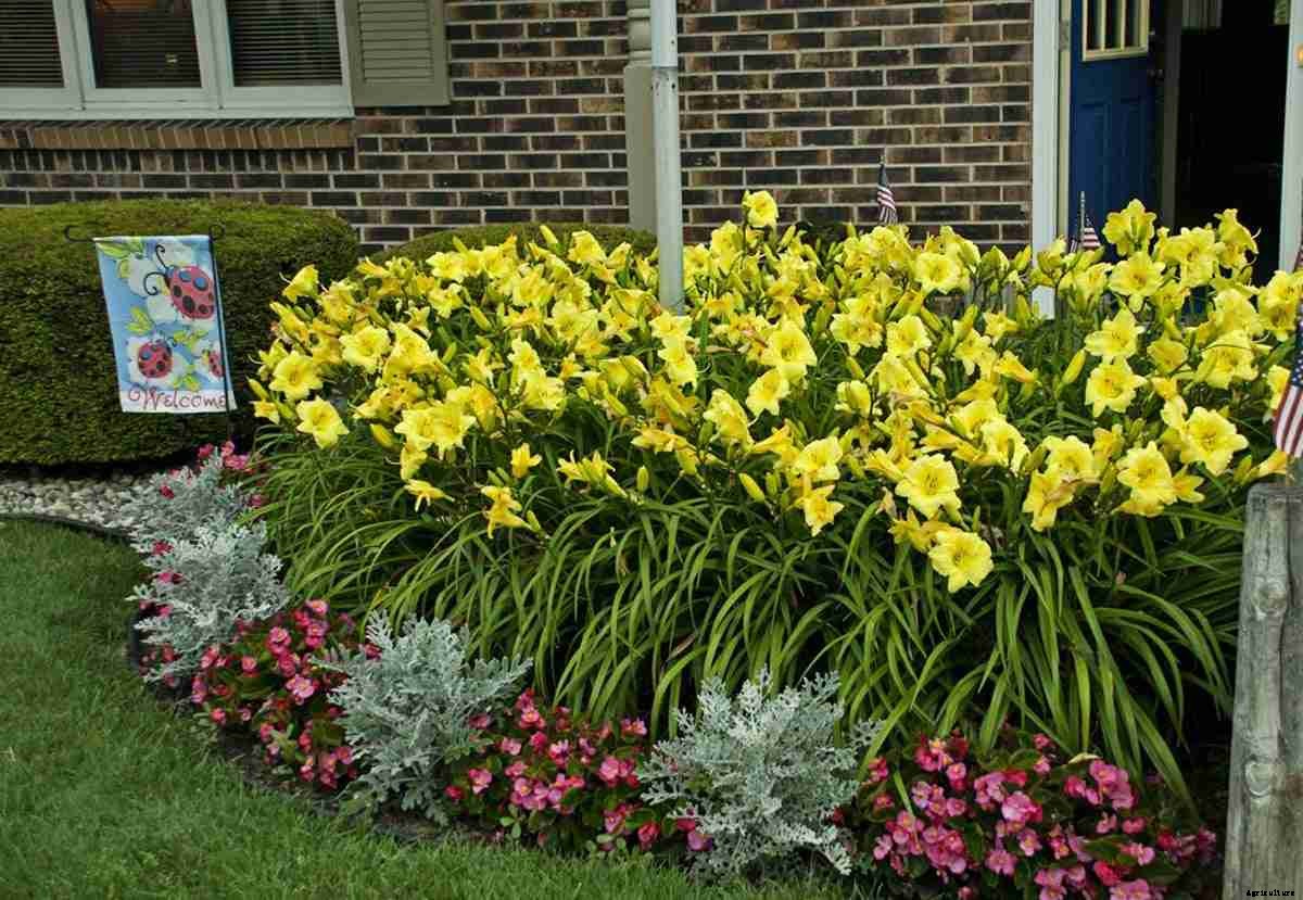 Improved Spring Flower Garden Ideas, and Tips