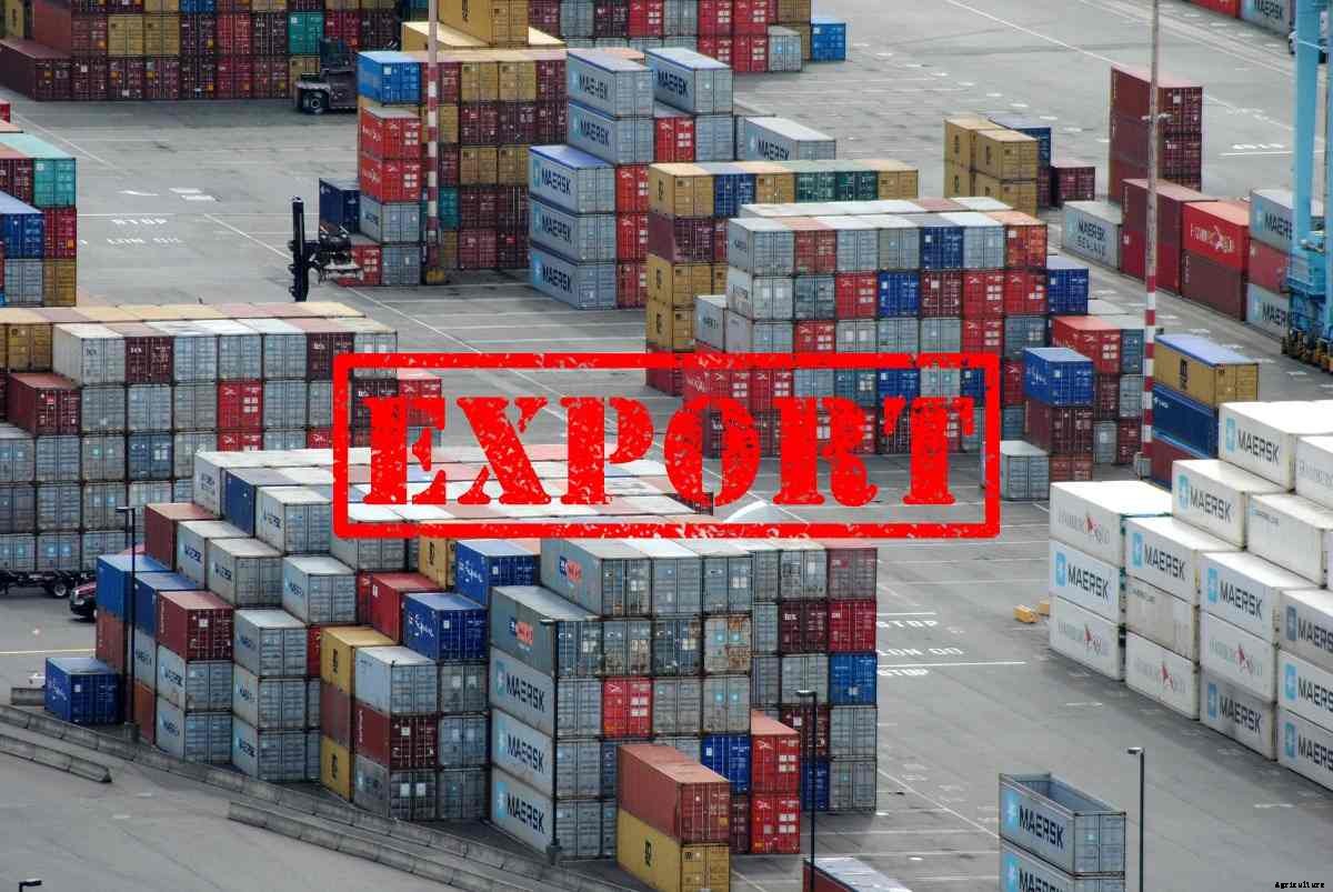 Agriculture Export Policy, Import Policy in India