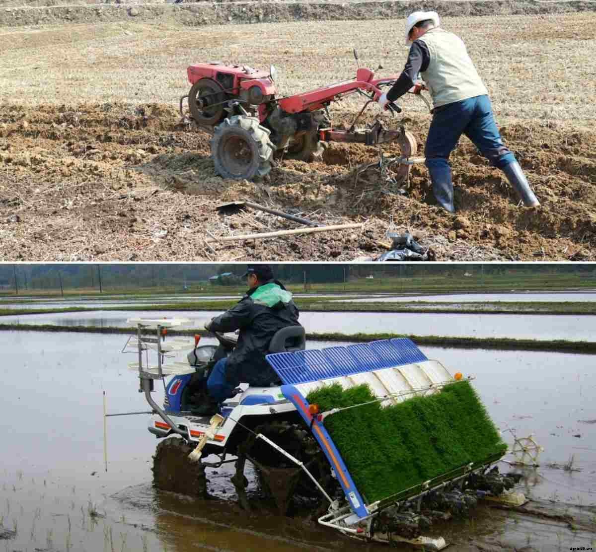 Agriculture Machinery Subsidy, Tools, Equipment, Loan