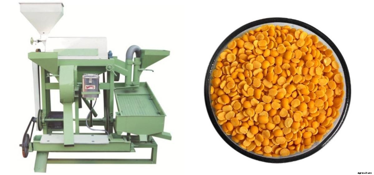 Dal Mill Project Report (Toor), Dal Mill Cost, Subsidy