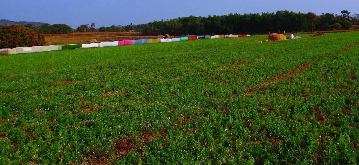 Dryland Farming, Agriculture Technologies in India