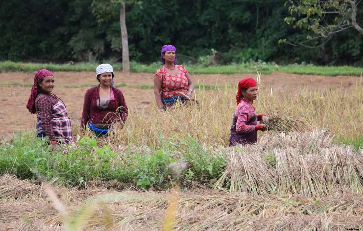 Cooperative Farming; Features of Cooperative Farming