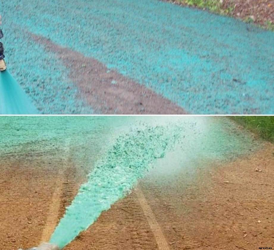 Advantages and Disadvantages of Hydroseeding