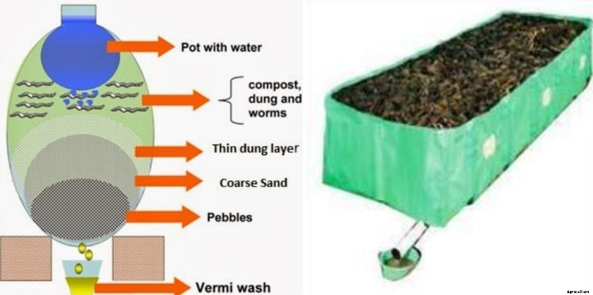 Vermiwash Preparation Process, Benefits, Cost