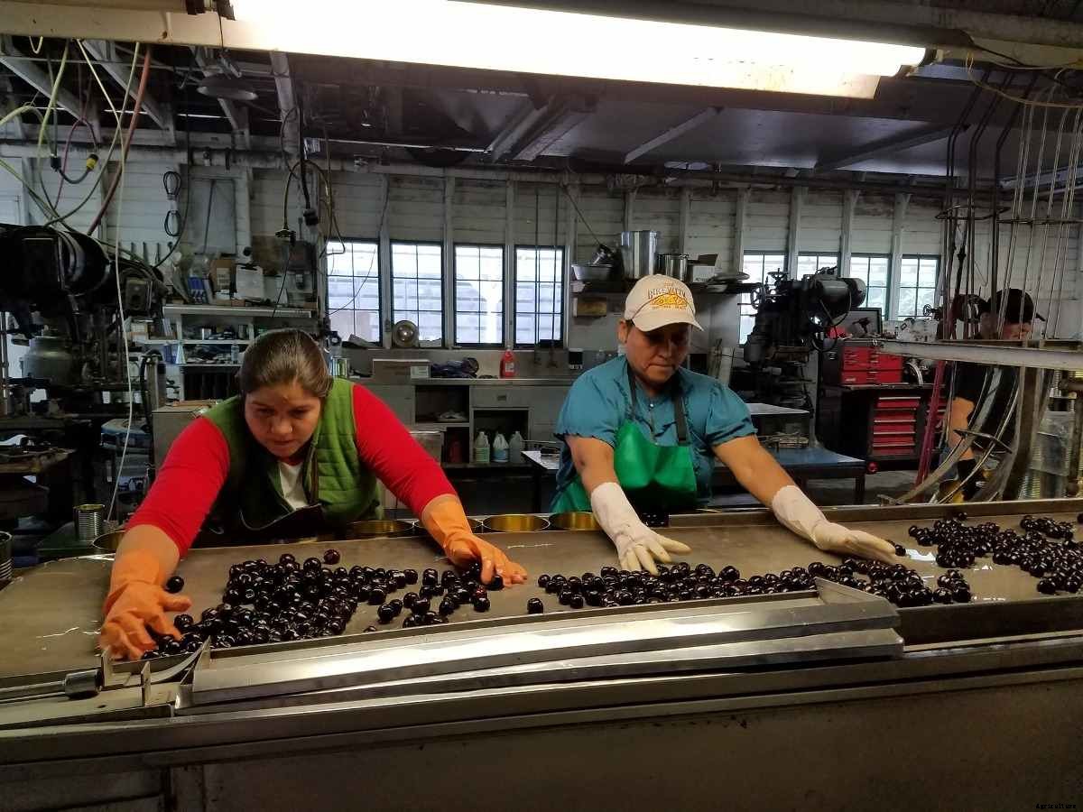 Post Harvesting Technology of Fruits for Dummies