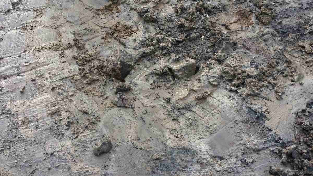 Suitable Crops for Clay Soil, Clay Soil Properties