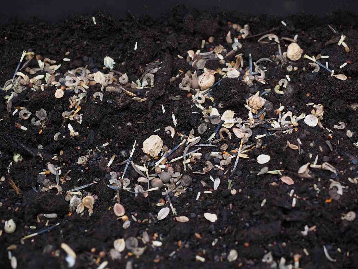 Crops Suitable for Black Soil – A Full Guide
