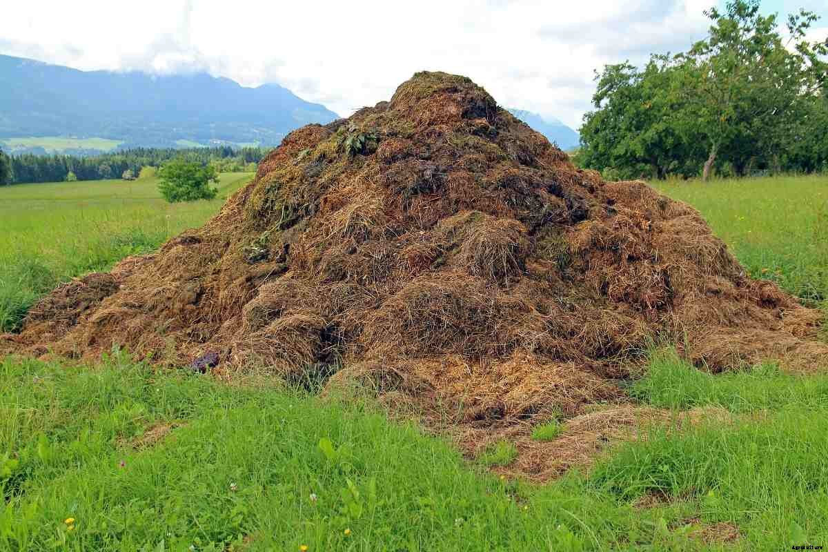 Farmyard Manure Preparation Methods, Advantages