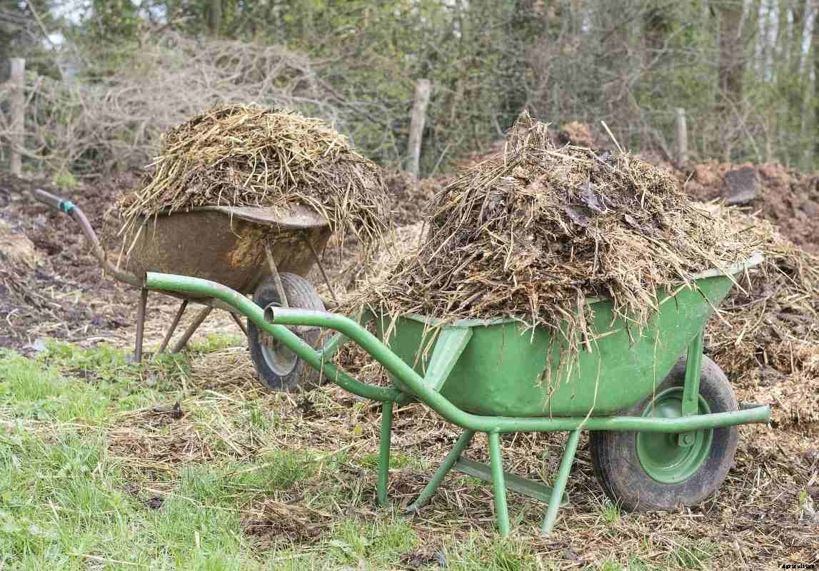 Farmyard Manure Preparation Methods, Advantages