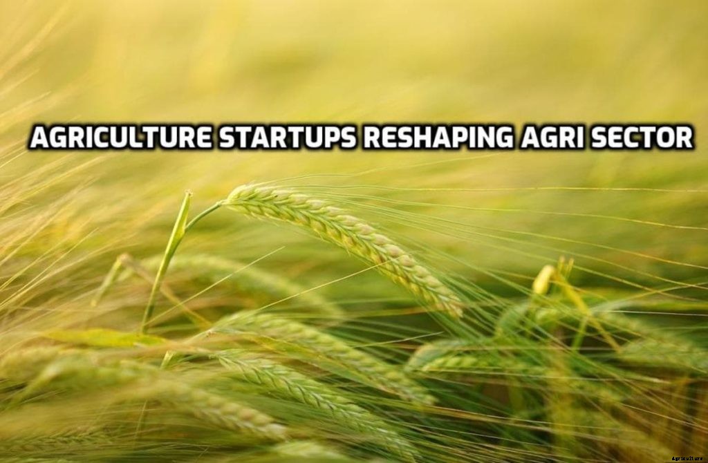 Agricultural Startups in India – Reshaping Agriculture