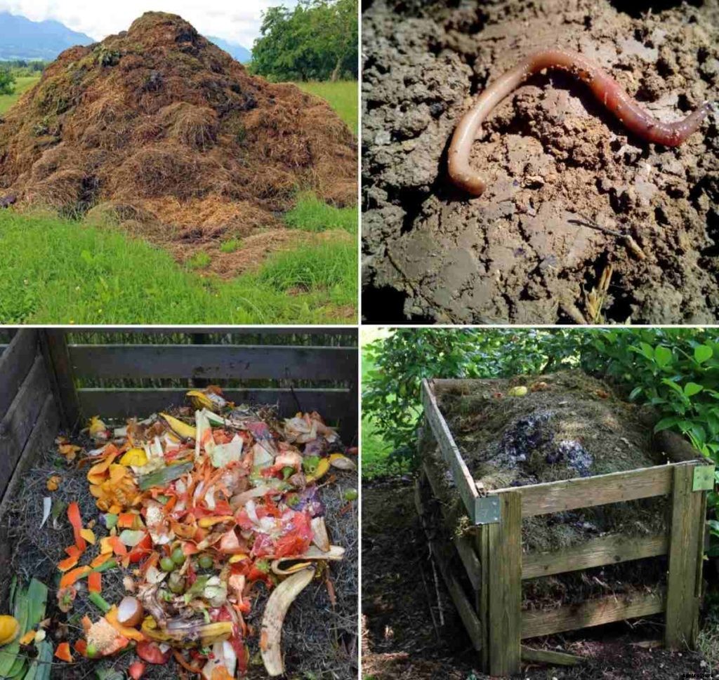 What is Compost, Types of Compost, Compost Methods