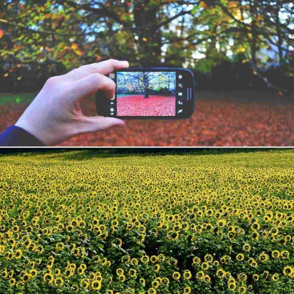 Farming Apps, Agriculture Apps in India