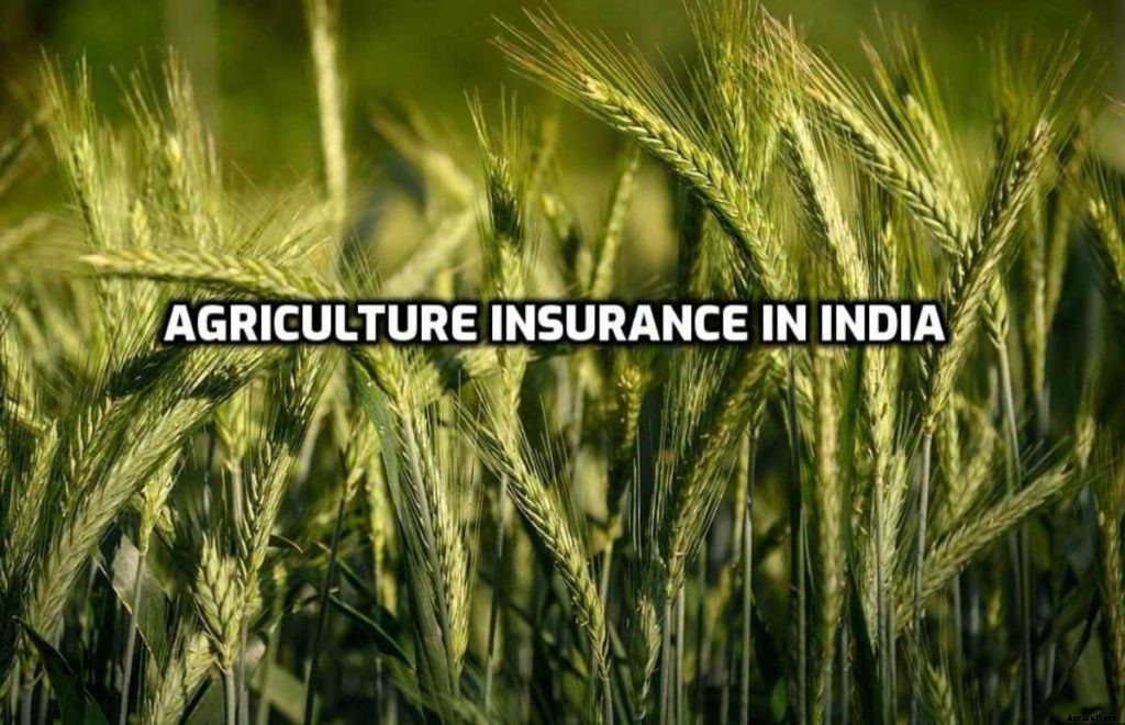 Agri Insurance Schemes In India – A Full Guide