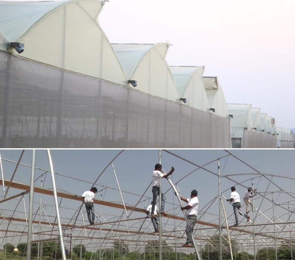 Polyhouse Subsidy in Telangana and Construction Cost