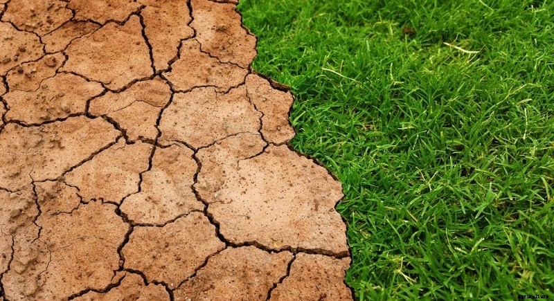 Effects of Climate Change on Agriculture in India