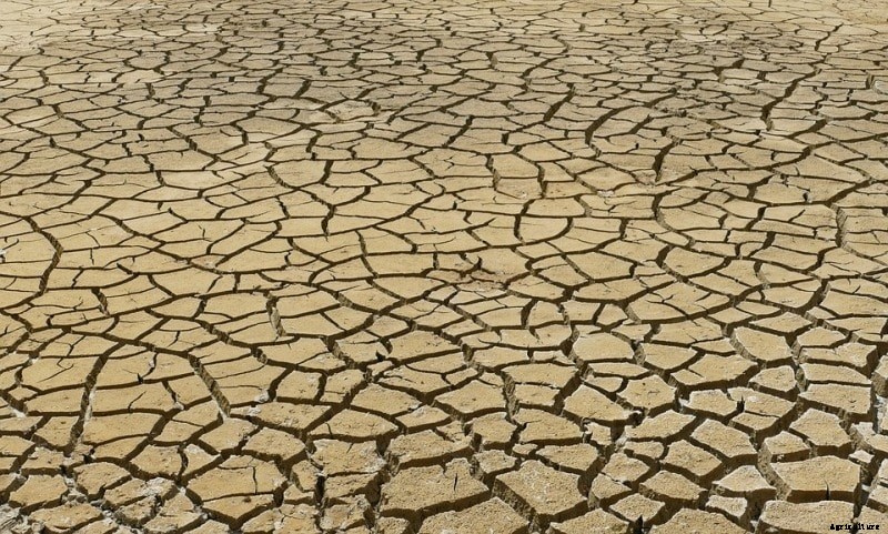 Effects of Climate Change on Agriculture in India