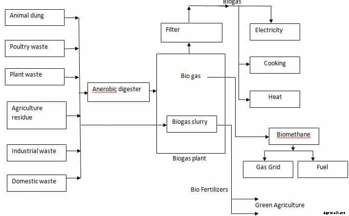 Biogas Production Process, Working Principles, Plant Cost