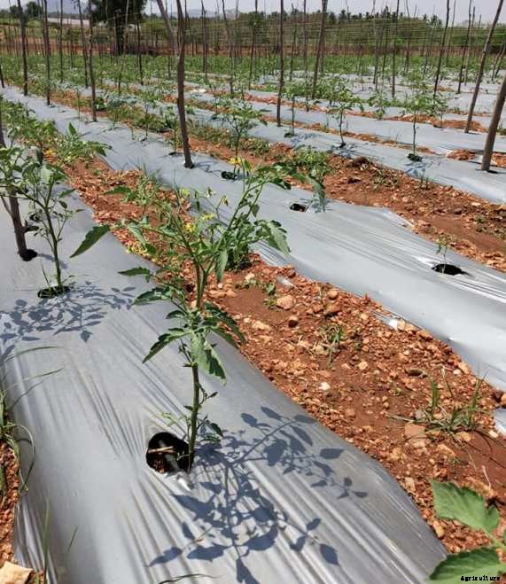 Agriculture Rural Development Challenges in India