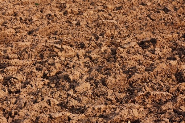 Soil Acidity; Soil Alkalinity; Effects on Crop Yield