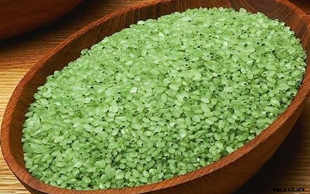 Bamboo Rice Farming, Cultivation Practices