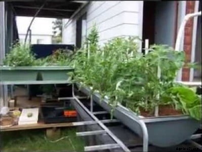 Aquaponics Training Centers In India